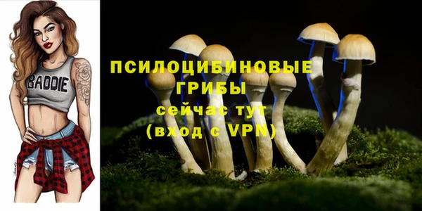 герыч Алзамай